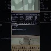 Living The 90s MS DOS