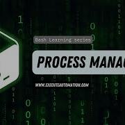 4 Bash Command For Process Management