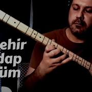 Bu Şehir Girdap Gülüm Giriş Bölümü Enstrümantal Bağlama