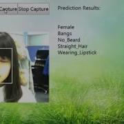 Real Time Face Attribute Estimation