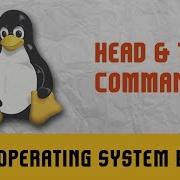 Linux Operating System Commands Head Tail Commands