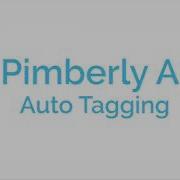 Pimberly Features Pimberly AI Auto Tagging