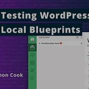 How To Test WordPress Beta Releases With Local Blueprints WP CLI Or The WP Beta Tester Plugin