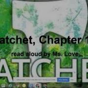 Hatchet By Gary Paulsen Chapter 15