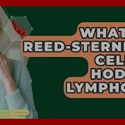 What Are Reed Sternberg Cells In Hodgkin Lymphoma Lymphoma Support Network