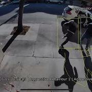 VCA Technology Aggressive Behaviour Detection