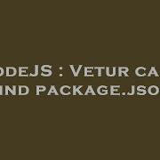 NodeJS Vetur Can T Find Package Json