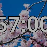 57 Minutes Timer With Music Cherry Blossom Timer