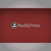 5 Best Forum Plugins For WordPress