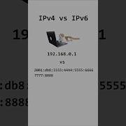 IPv4 Vs IPv6 Explained By Cats Ip Cat Software Internet Coding