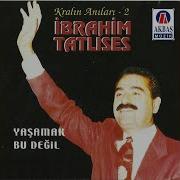 Yaşamak Bu Değil