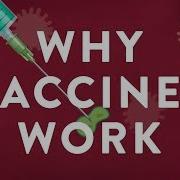 Why Vaccines Work