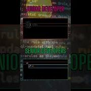 Noob Vs Pro Developer HTML CSS