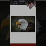 Amazing Hover Zoom Effect Create Stunning Image Zoom With HTML And CSS HTMLCSS ImageZoom Html