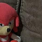 Knuckles Anger Issues
