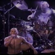 Tool H Live HD 720p