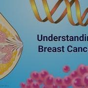 Understanding Breast Cancer