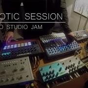 Hypnotic Session Techno Studio Jam Tempest SpaceEcho Prophet6 Perfourmer SubPhatty Strymon