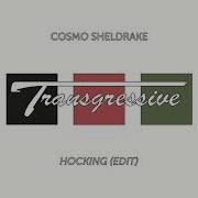 Cosmo Sheldrake Hocking Edit