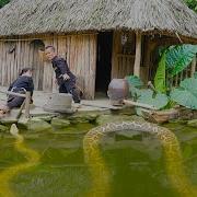 Giant Python Lurks To Attack Dwarf Family Giant Anaconda 16m Long