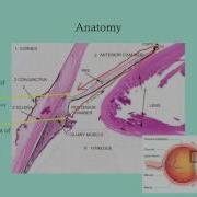 Glaucoma CRASH Medical Review Series