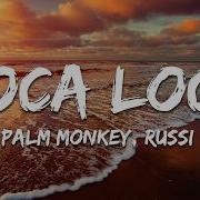 Palm Monkey Russi LOCA LOCA Lyrics