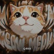MONTAGEM MEOW MEOW SHX4 X KVLTX