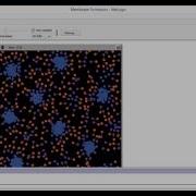 NetLogo Membrane Formation