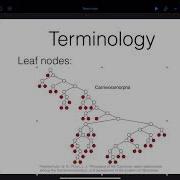 COMP251 Data Structures And Algorithms Introduction To Trees