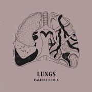 Ruti Lungs Calibre Extended Remix Official Visualiser