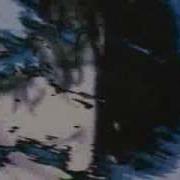 Essence Only For You Official Video