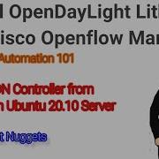 ONELAB Training Install OpenDayLight Lithium And Cisco Openflow Manager In Ubuntu 20 10