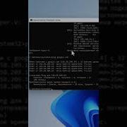 Ping команда для проверки интернета