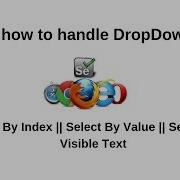 Dropdown In Selenium Webdriver Select By Index Select By Value Select By Visible Text