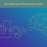 Share Your Idea With An Explainer Video Next Day Animations