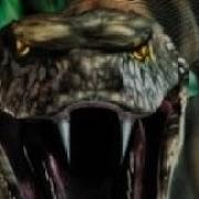 Python 2000 Músic Vídeo