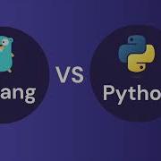 Golang Vs Python Which Should You Choose For Your Next Project