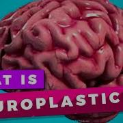 Neuroplasticity And Learning Explained