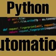 Проект автоматизации на Python приложение для организации файлов созданное на Python