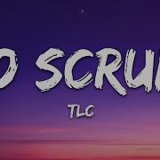 TLC No Scrubs Lyrics