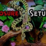 Jaguar Carpet Python ZEN Enclosure Setup