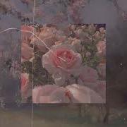 Where Roses Bloom Teesa 1 Hour Loop Rain