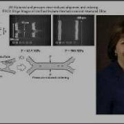USF Chemical Engineering