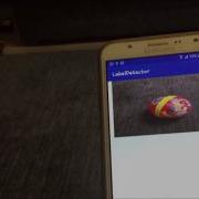 FIrebase Label Detection