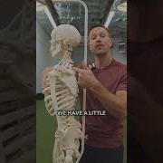 The Myth Of Thoracic Mobility Stop Doing This Mobility Posture Mobilitytraining