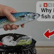 Why Does Everyone Hate The BEST Fish