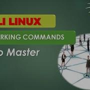 Networking Essentials In Kali Linux Master Ifconfig Ip And Ping