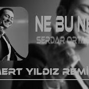 Serdar Ortaç Ne Bu Neşe Mert Yıldız Remix