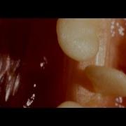 Dusky Skin Deep Official Video