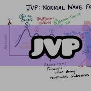 JVP Объяснение нормальной формы волны для Usmle Inicet Neetpg Nclex